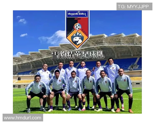 西藏足球明星盘点及其在国内外赛场上的表现与成就分析